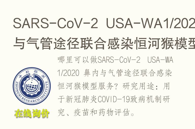 SARS-CoV-2  USA-WA1/2020 鼻内与<font color='red'>气</font>管途径联合感染恒河猴模型