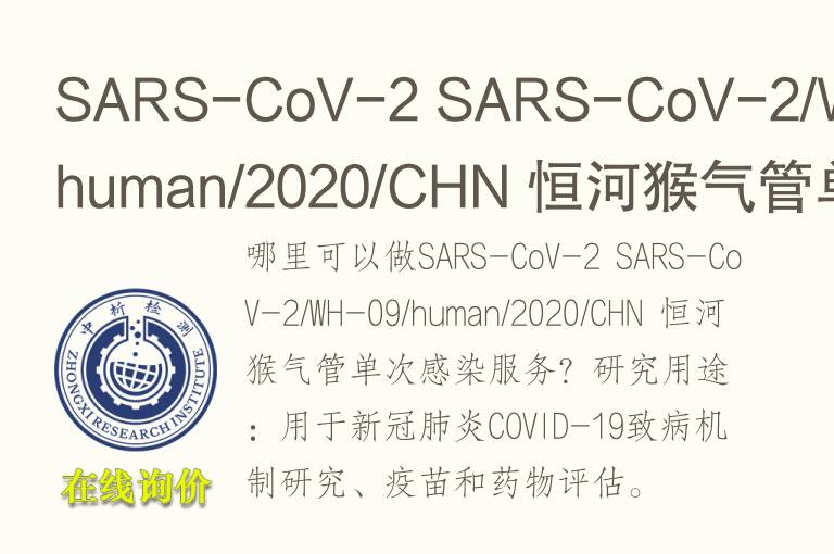 SARS-CoV-2 SARS-CoV-2/WH-09/human/2020/CHN 恒河猴<font color='red'>气</font>管单次感染