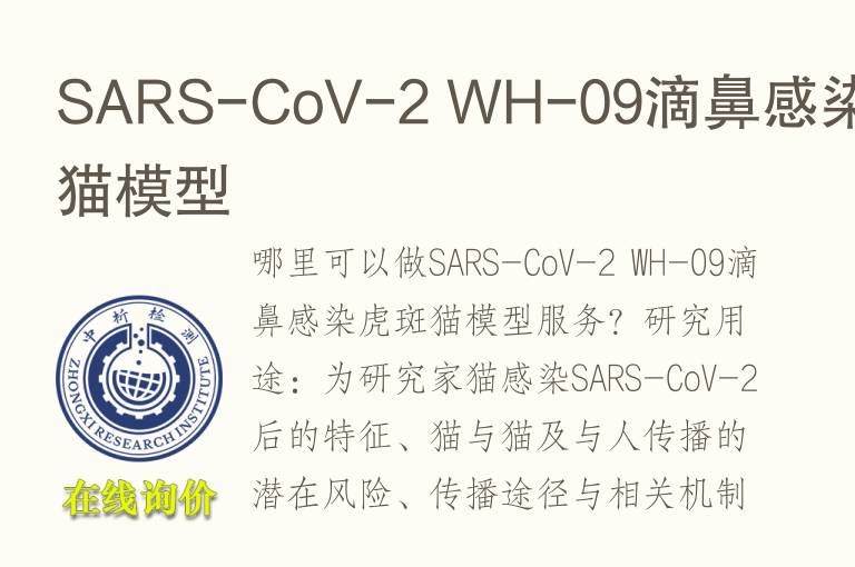 SARS-CoV-2 WH-09滴鼻感染虎斑<font color='red'>猫</font>模型